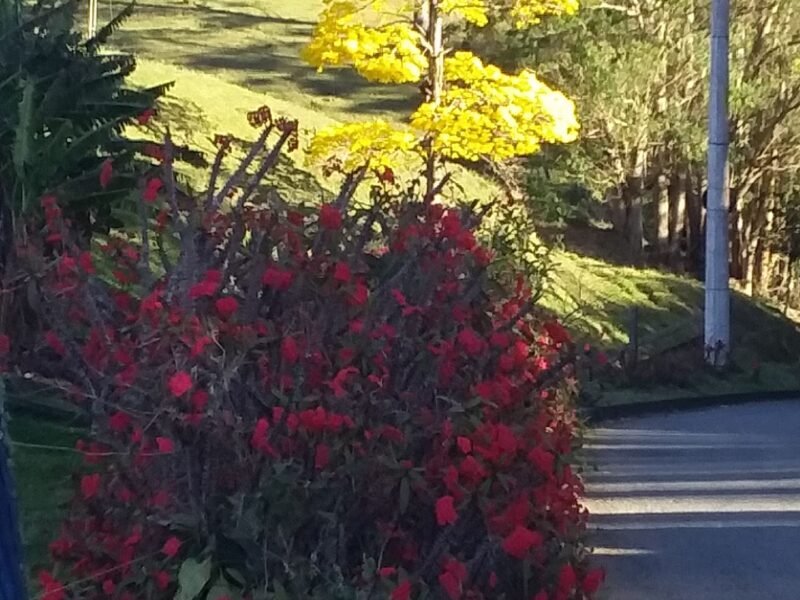 Parque Estadual Pedra Azul