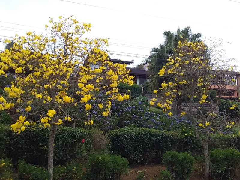 Parque Estadual Pedra Azul